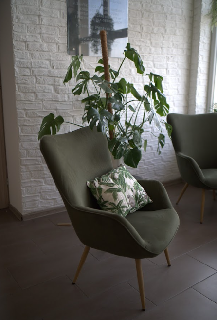 Fotel i monstera — strefa wypoczynku